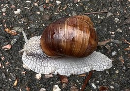IMG_2891.jpeg