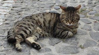 IMG20240521115717.jpg