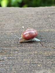 IMG_20240519_182639.jpg