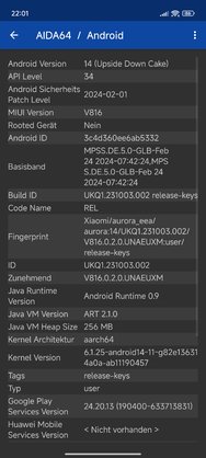 Screenshot_2024-05-21-22-01-58-047_com.finalwire.aida64.jpg