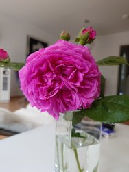 20240522_114638.JPG
