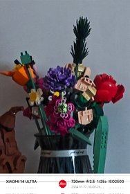 20240523_122009.jpg
