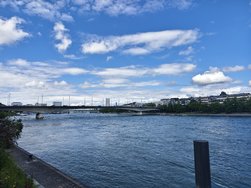 IMG_20240522_155056.jpg