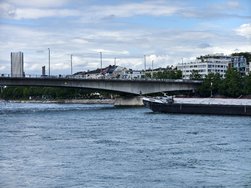 IMG_20240522_155120.jpg