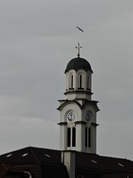 IMG20240516171018.jpg