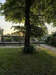 IMG_20240524_060450.jpg