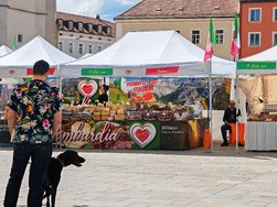 IMG_20240523_144457.jpg