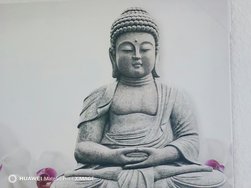Mate 50 Pro 10x.jpg