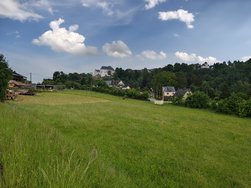 IMG_20240524_093824358_HDR.jpg
