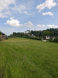 IMG_20240524_093857245.jpg
