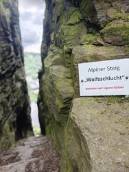IMG_20240524_095259644_PORTRAIT.jpg