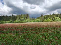 IMG_20240524_104545709_HDR.jpg