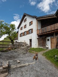 proshot_20240524_131413.jpg