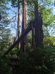 IMG_20240515_160714.jpg
