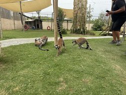 IMG_5002.jpeg
