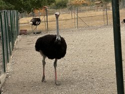 IMG_4989.jpeg