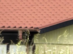 100m - 100x.jpg