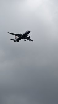 PXL_20240525_092355777.jpg