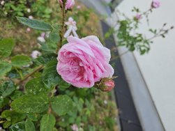 20240524_095907.jpg