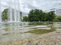 IMG_20240525_170008644_HDR.jpg