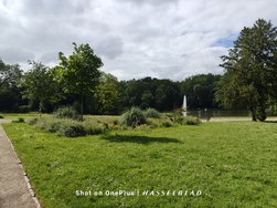 IMG20240525163409.jpg