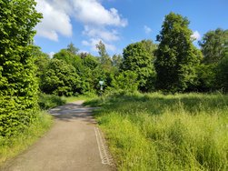 IMG_20240525_173247.jpg
