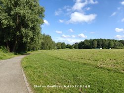 IMG20240525173959.jpg