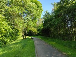 IMG_20240525_174646.jpg