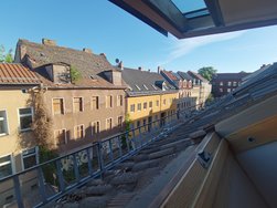 IMG_20240516_072837.jpg