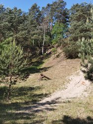 IMG_20240516_110753.jpg