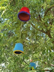 IMG_20240516_112613.jpg