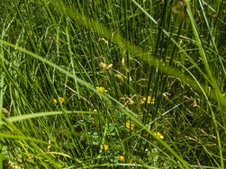 PXL_20240526_093120210.jpg