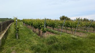 PXL_20240526_110456056.jpg