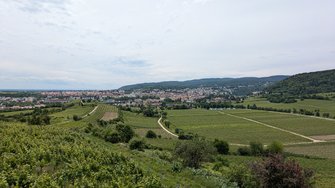 PXL_20240526_110349896.jpg