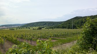 PXL_20240526_101424748.jpg