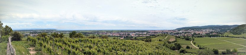 PXL_20240526_110349896-PANO.jpg