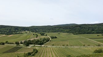 PXL_20240526_110609236.jpg