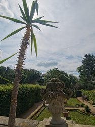IMG_20240520_114259_edit_2412128915845473.jpg