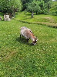 IMG_20240520_120759.jpg