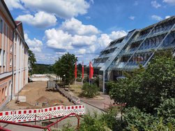 IMG_20240520_125712.jpg