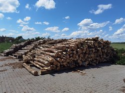 IMG_20240520_133229.jpg