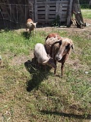 IMG_20240520_133809.jpg