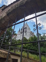 IMG_20240520_144545.jpg