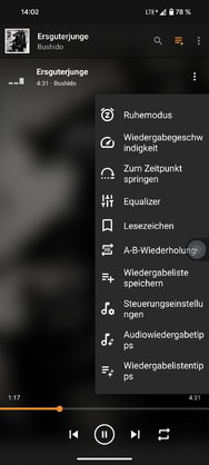 Musikplayer_4.png