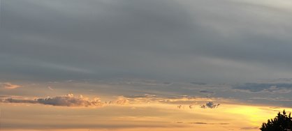 IMG_20240526_205522.jpg