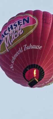 IMG_20240526_201205.jpg