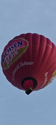 IMG_20240526_201150.jpg