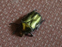 IMG_20240516_095512.jpg