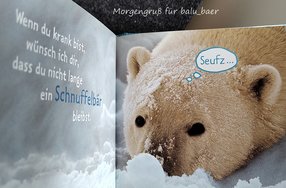 für balu_baer.jpg