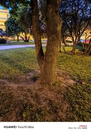 IMG_20240528_053326_732.jpg